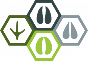 Hex Quad Group