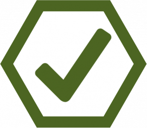 Success Icon